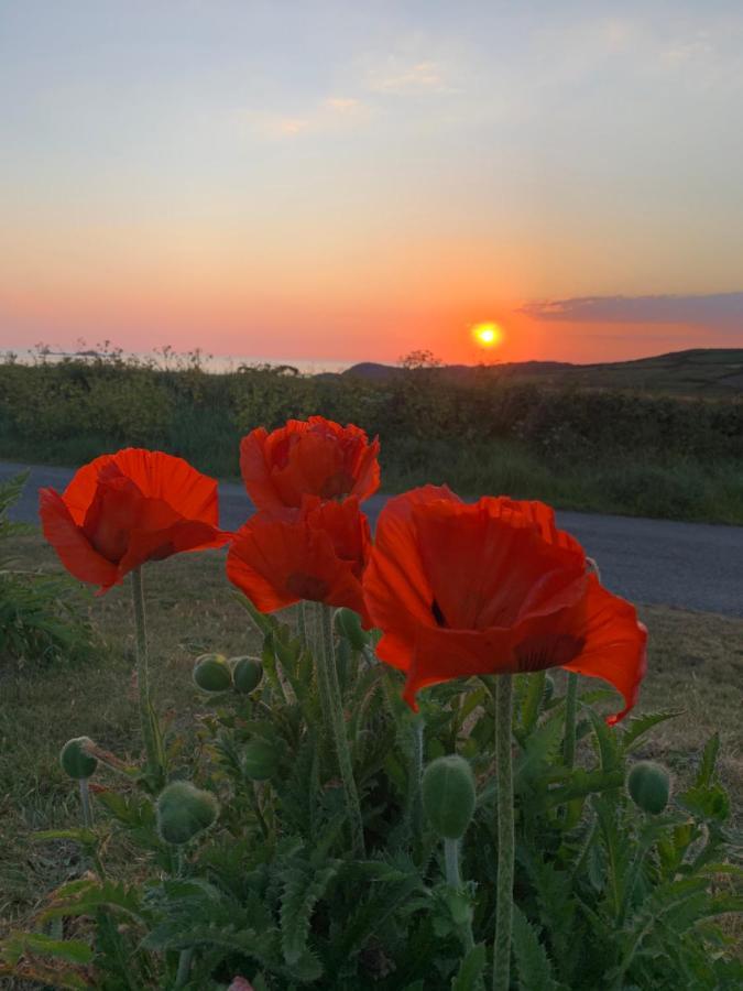 Craig-Y-Mor Suites With Sea Views Whitesands St Davids Екстериор снимка